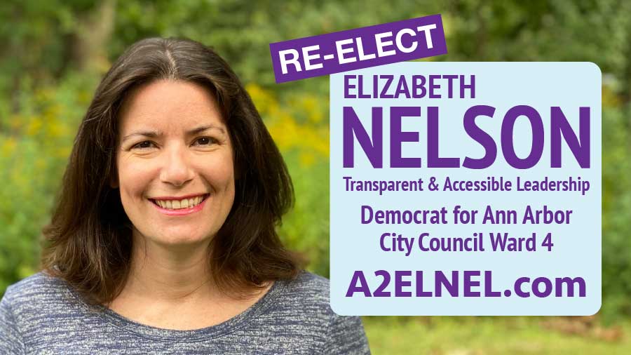Re-elect Elizabeth Nelson for AA City Council Ward 4